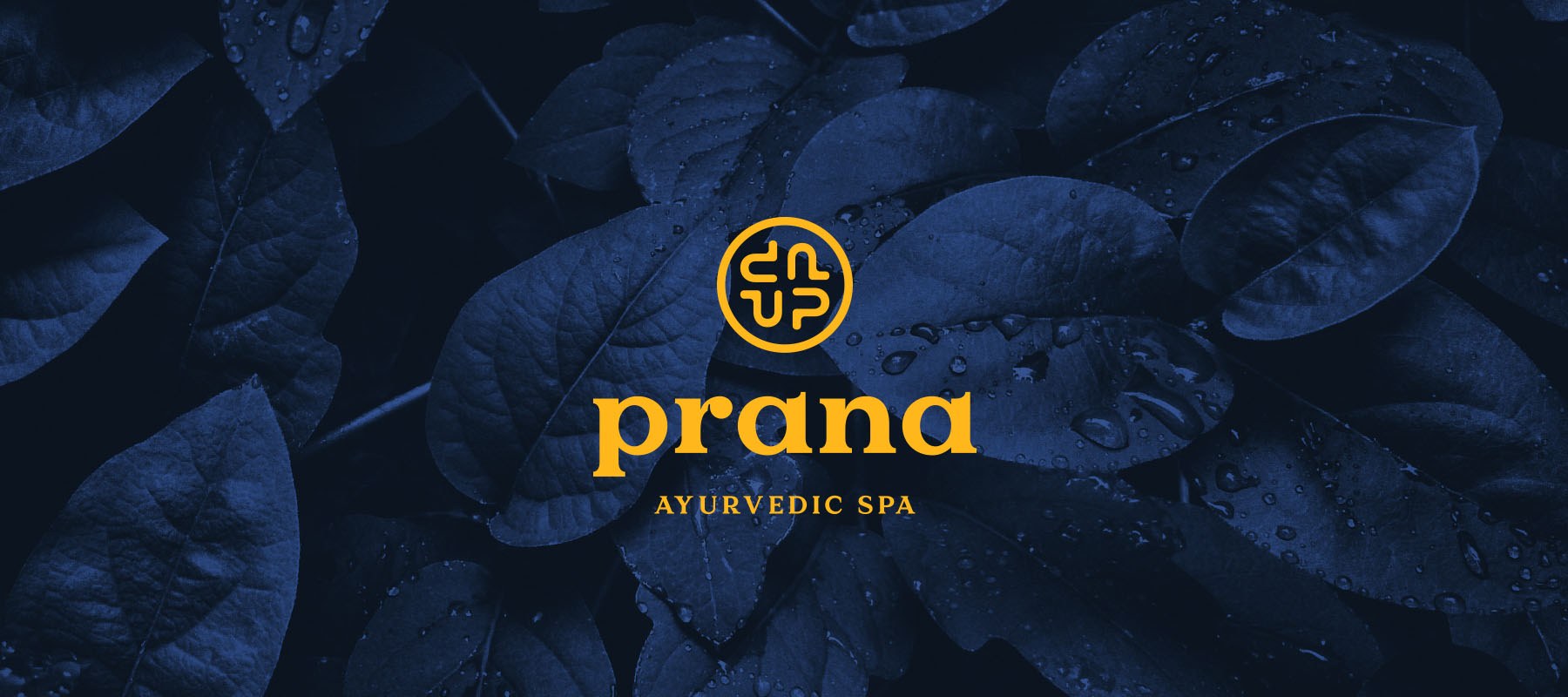 Prana Logo Story